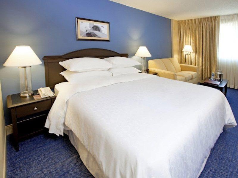 Отель Sheraton North Houston At George Bush Intercontinental Номер фото